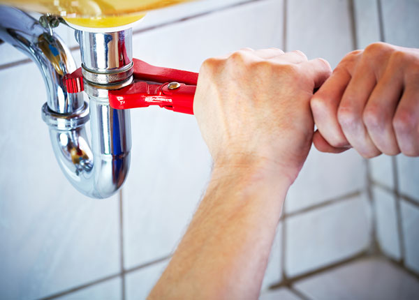 About Violet Plumbers